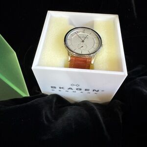 Skagen Silver Dial Watch with Brown Leather Strap